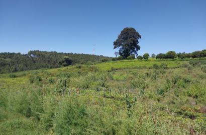 Prime Land for Sale in Tigoni