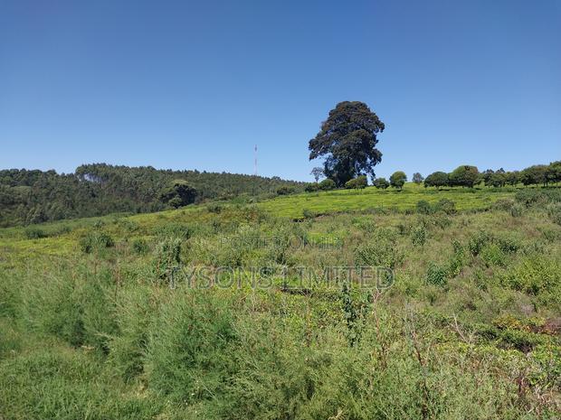 Prime Land for Sale in Tigoni