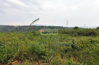 6.2 Ac Land for Sale in Riat