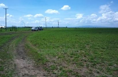 10 Acre Land for Sale in Acacia, Kitengela