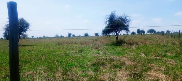 Vacant 1/8 Acre Plots For Sale In Isinya