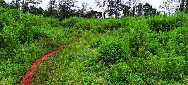 Vacant Plots for Sale in Thindigua