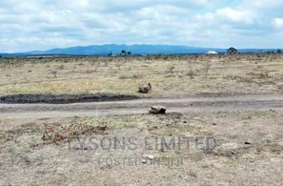 Quater Acre Plot for Sale in Tuala