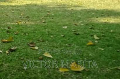 1/2 Acre Land Opposite Enaishipai Hotel Naivasha for Sale.