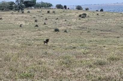 20 Acres for Sale in Email Oloitoktok Road