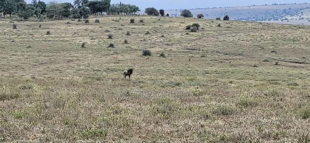 20 Acres for Sale in Email Oloitoktok Road