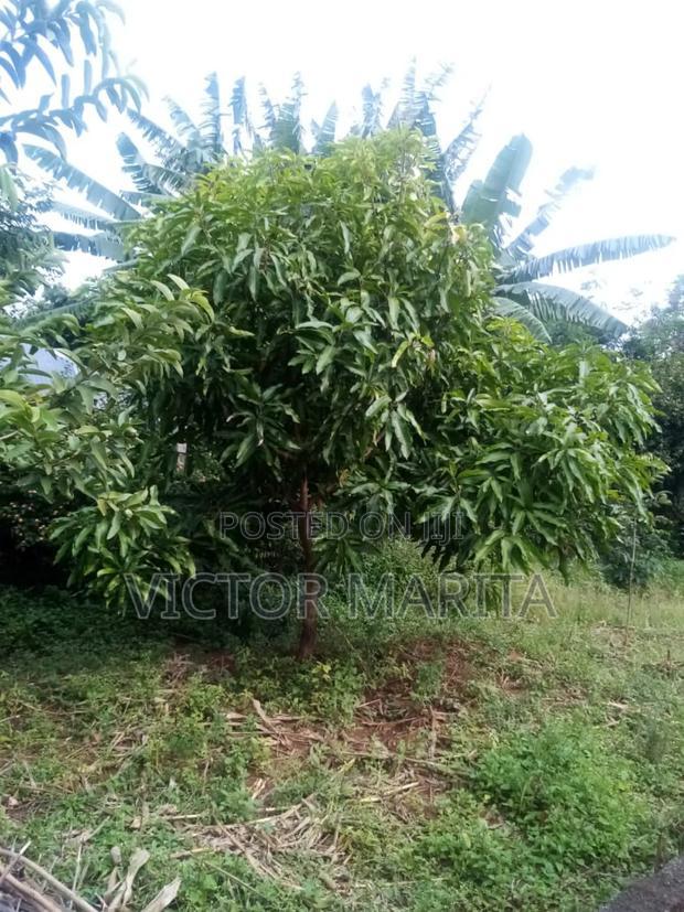 40 Acres for Sale in Tigoni Kiambu Near Limuru Golf Club