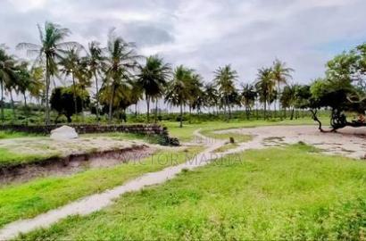 3.3 Acres Fronting Beach in Msambweni