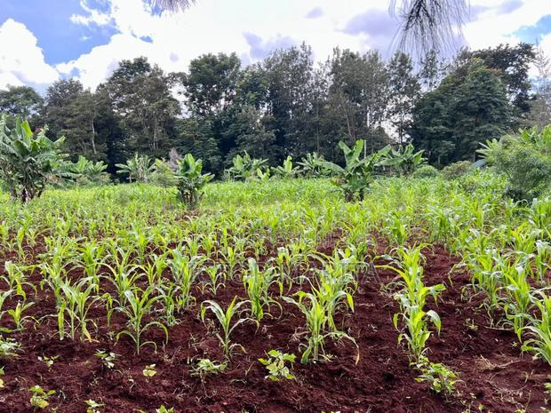 2 Acres for Sale in Njambini With a House