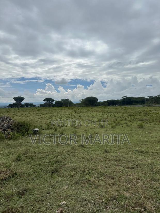 39 Acres for Sale in Kisaju/Isinya Near Flora Desire Kenya