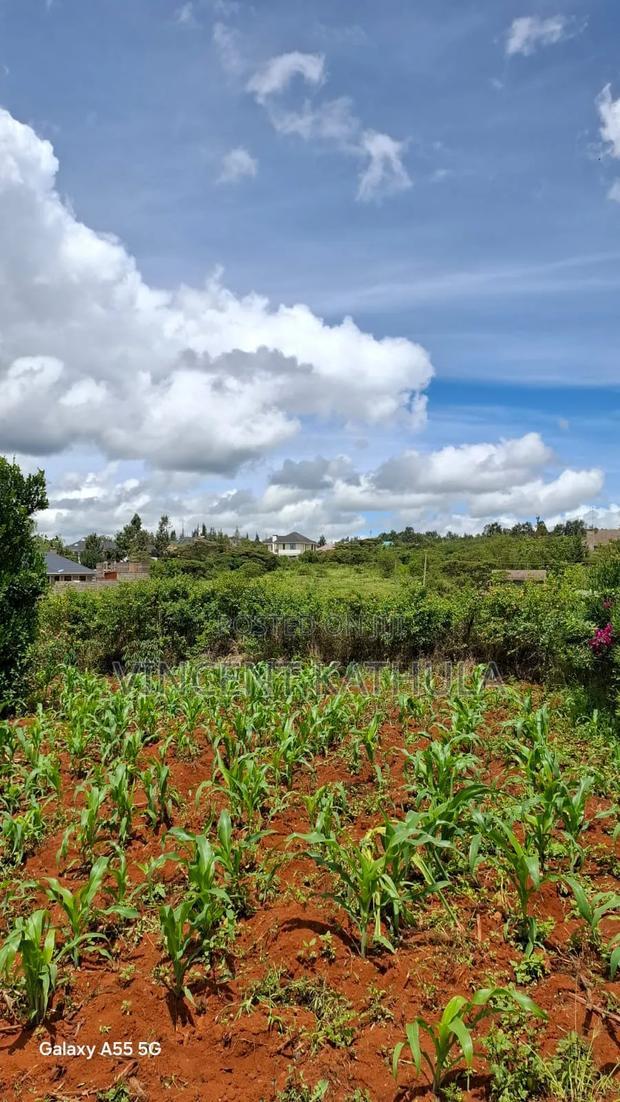 Karen View Plots