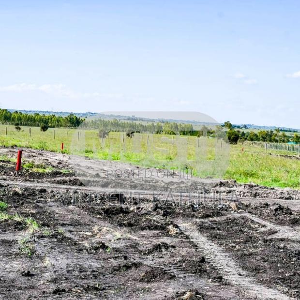 Kisaju Plots