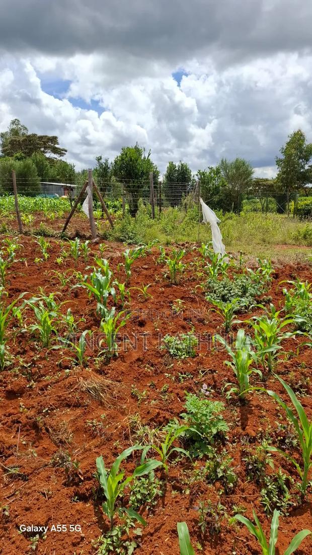 Karen View Plots