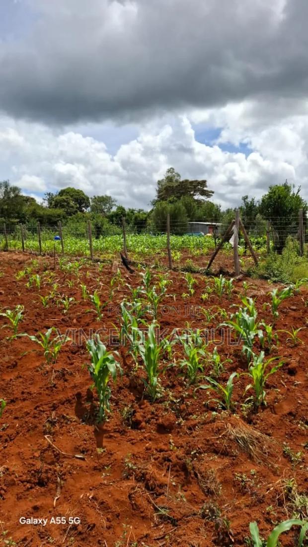 Karen View Plots