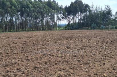 0.5 Acre Plots in Gatimu