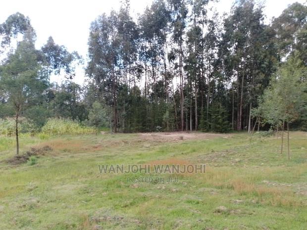 Prime Plots in Oljoro-Orok