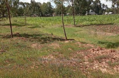 Best Deal Plots