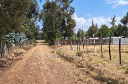 Buy Build Prime Plots