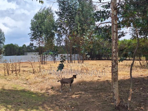 Superior Ready - To Build Plots