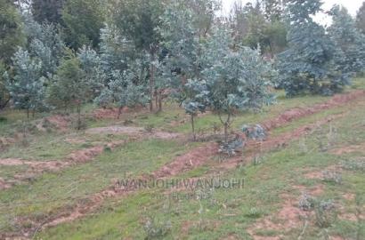 Own a Piece of Nyandarua