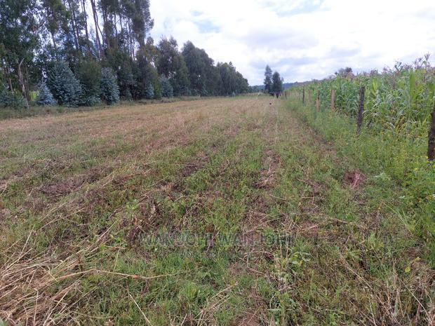 50x100 Exquisite Plots in Olkalou