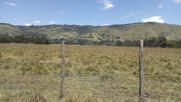 Prime Land Large Parcel