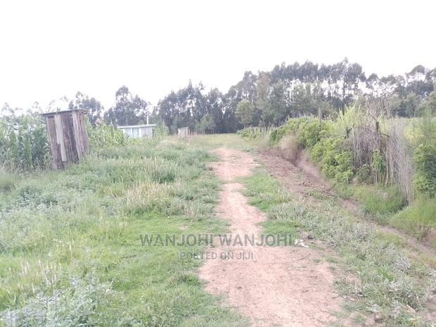 Prime Plots in Oljoro-Orok