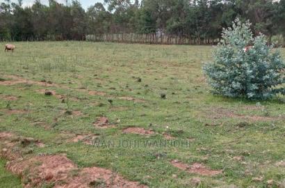 Excellent 50x100 Plots in Nyandarua