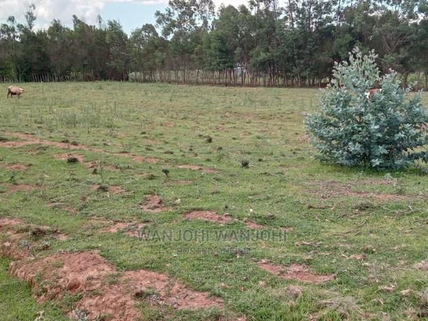 Excellent 50x100 Plots in Nyandarua