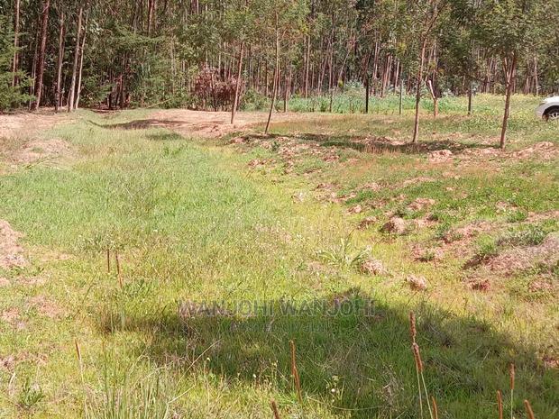 Prime Plots in Oljoroorok