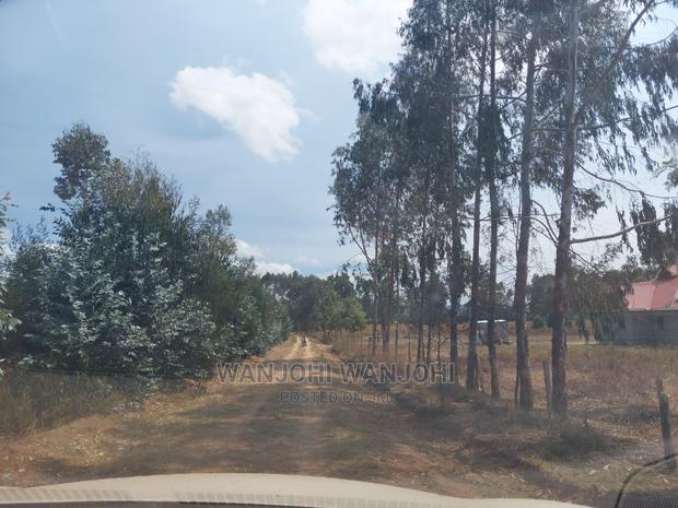 Exquisite 1/8 Plots in Olkalou