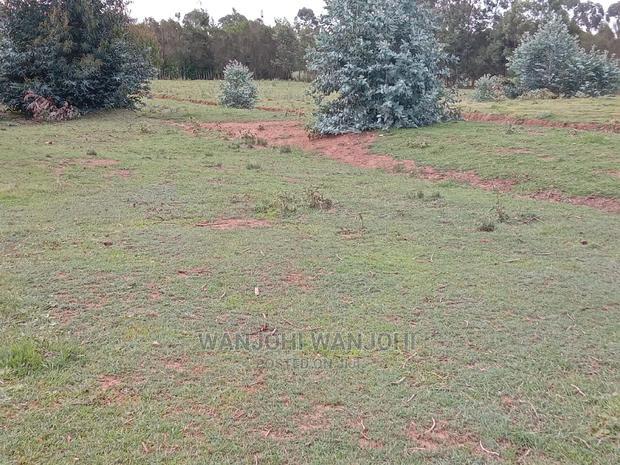A Breath of Fresh Air in Nyandarua