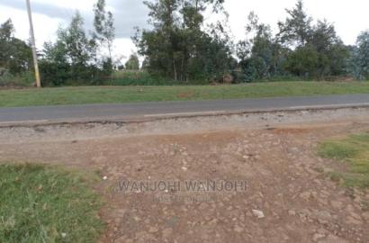 Prime Plots in Oljoro-Orok