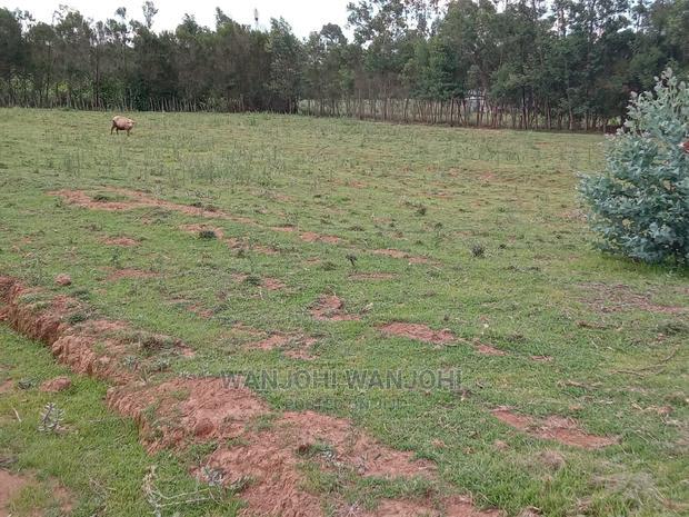 Own a Piece of Nyandarua