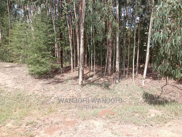 Prime 50x100 Forested Plot