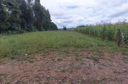 Prime 50x100 Plots
