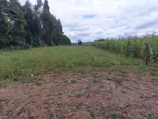 Prime 50x100 Plots