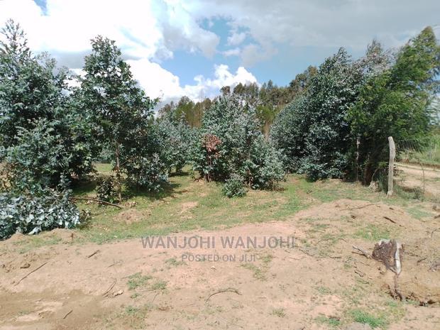 Prime Plots at the Heart of Nyandarua County