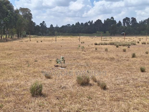Very Prime Plots in Leshau Nyandarua County