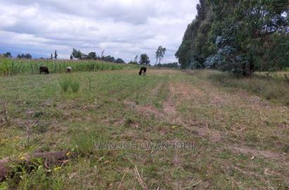 Exquisite 1/8 Plots in Olkalou