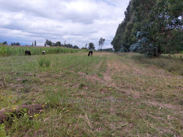 Exquisite 1/8 Plots in Olkalou