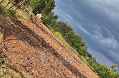 1/4 Acre Plots in Nyahururu