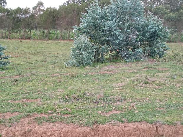 Excellent 50x100 Plots in Nyandarua
