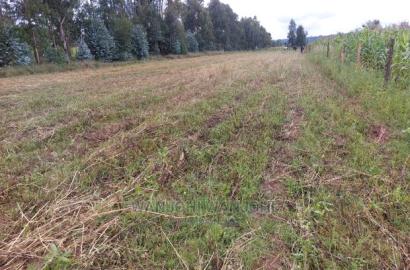 50x100 Exquisite Plots in Olkalou