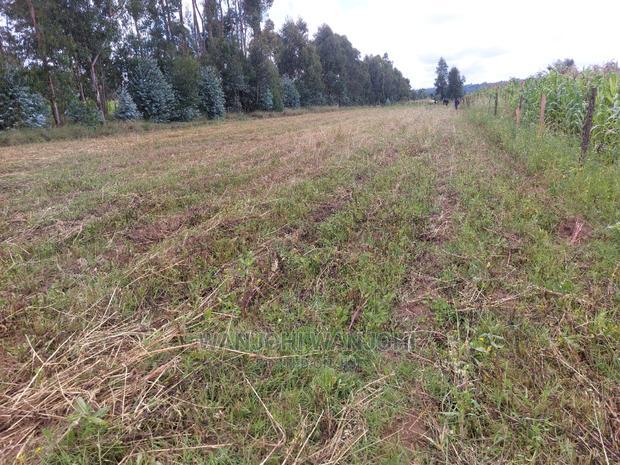 50x100 Exquisite Plots in Olkalou