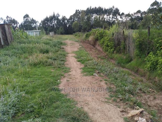 Very Prime Plots in Oljoroorok
