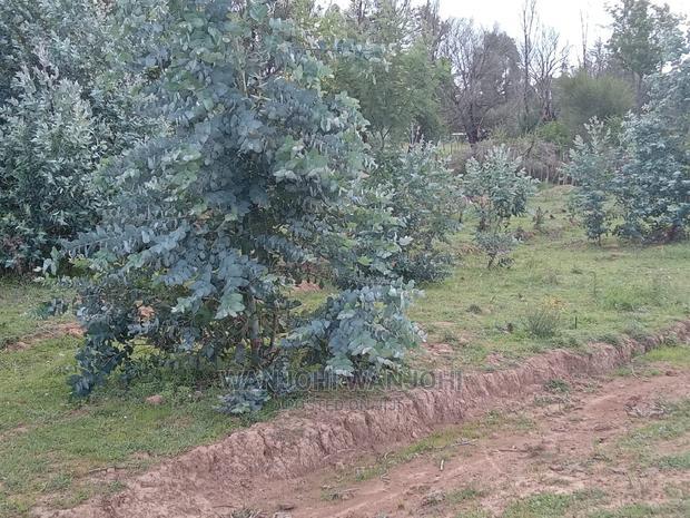 Decent Properties in Nyandarua (50x100)