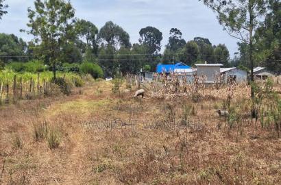Secure Top Tier Oljoroork Plots