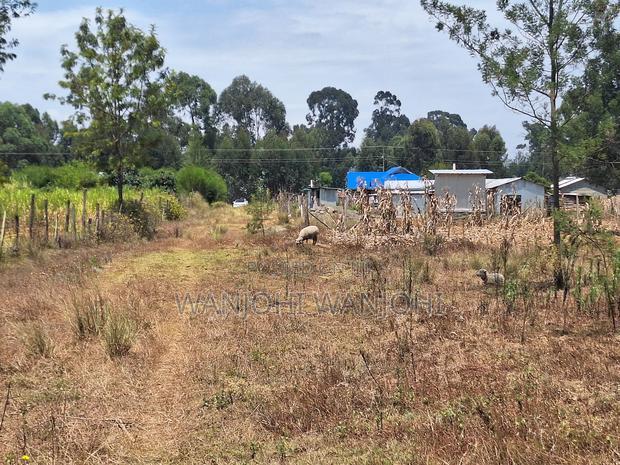 Secure Top Tier Oljoroork Plots