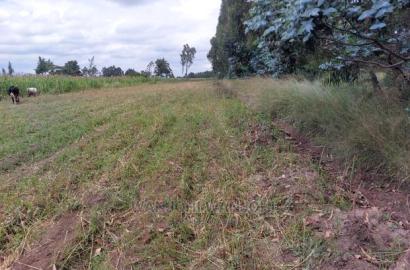 Prime 50/100 Plots in Olkalou